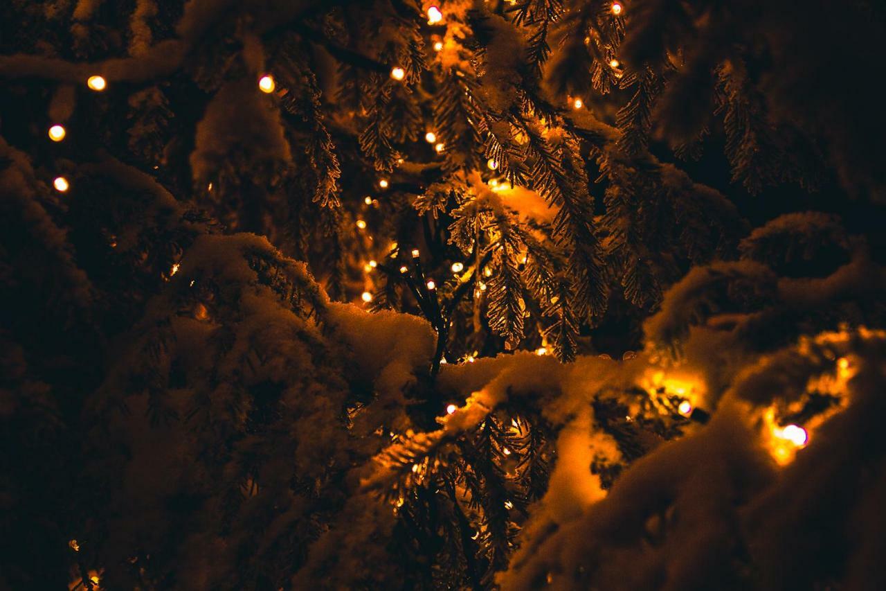 Motelli Rovaniemi Exteriör bild